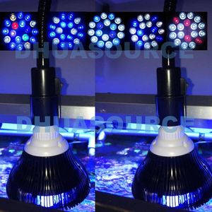 Éclairages LED Aquarium Lumière Pet Lampe Plante Ampoule 50/54 W pour Eau Salée Marine Récif Moral Sump Algues Nano Réservoir