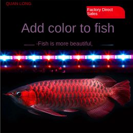 Lightings Lumières LED pour aquarium Dragon, éclaircissent l'eau et la terre, commutation 3 couleurs, plantes aquatiques, plongée dans l'aquarium, étanche, 17 117 cm