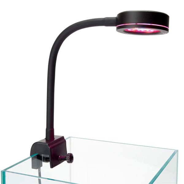 Éclairages Q2 LED lumière d'aquarium spectre complet bleu rouge UV LED plante poussent la lumière pour le refuge de coraux de récif