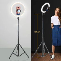 Lumières 26 16 cm Ring Selfie Light With Tripod Stand Mobile Holder Photography RIM LED OF LAMP For Live Streaming YouTube Tiktok Video