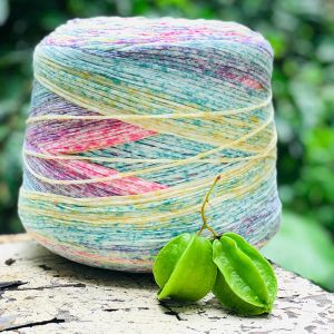 Limited 500g Beau ensemble de bandes à ceinture plate de colorant arc-en-ciel pour tricot à tricotage Crochet Colon DIY Artisanat tisser le fil x5172