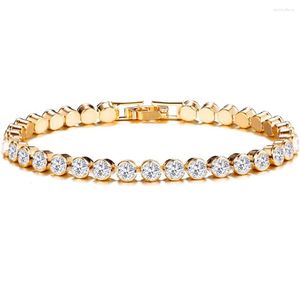 Link armbanden 5 PCsdiezi Koreaanse luxe kristallen armband voor vrouwen bruiloft Gift Goud Zilver kleur Romeinse ketting Bangels Sieraden