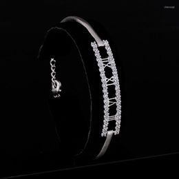 Link armbanden goud verzilverde echte armband CZ Crystal Infinity for Women Fahion sieraden GLS0547