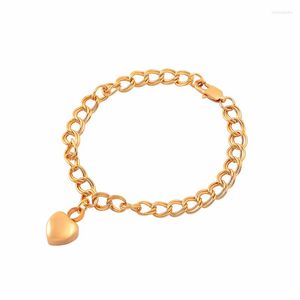 Lien Bracelets IJB5010 Pet Cimetière Plaqué Or En Acier Inoxydable Coeur Charme Urne Crémation Bracelet Mode Femmes Bijoux Bracelet