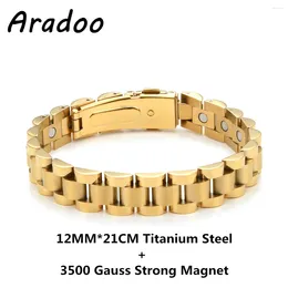 Bracelets à maillons Bracelet à énergie magnétique en acier titane 12MM hématite Germanium Anti-fatigue Anti-radiation bracelet en acier inoxydable