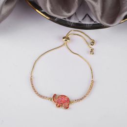 Bracelets à maillons Top qualité 5 couleurs mignon éléphant opale bracelet personnalisé chaîne de zircone cubique réglable pour les bijoux de mariage de fête