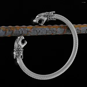 Link armbanden vintage Viking roestvrijstalen heren dierenarmband hiphop Noordse mode amulet punk sieraden