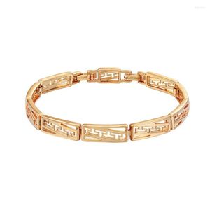 Link Armbanden XP sieraden -(19 cm x 6 mm) Kijk voor mannen Fashion Gold Plated 18 K