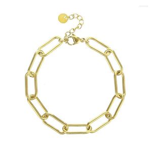 Linkketen eenvoudige gouden roestvrijstalen armband metaal holle paperclip bamboe dames luxe sieraden cadeau groothandel kent22
