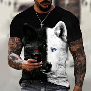 Lion Fighting Animal Beast Fierce Lion Wolf 3d THOCH