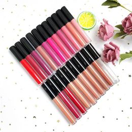 Lipgloss 21 kleur zwart ronde buis waterdicht privé merk hydrateren aangepast bulkglazuur