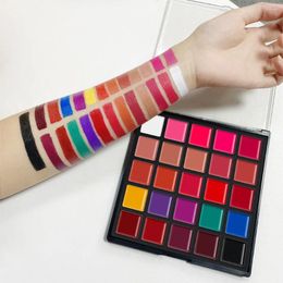 Brillant à lèvres 25 couleurs, plaque de rouge à lèvres, hydratant, longue durée, imperméable, ensemble de maquillage, fard à paupières, Blush multifonctionnel