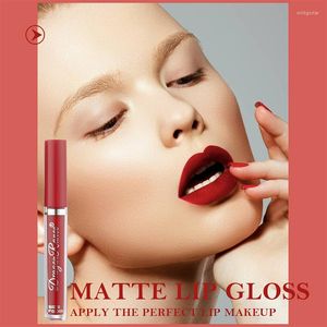 Brillant à lèvres 3 couleurs mat ensembles naturel hydrater imperméable longue durée velours Sexy rouge liquide rouge à lèvres beauté cosmétique