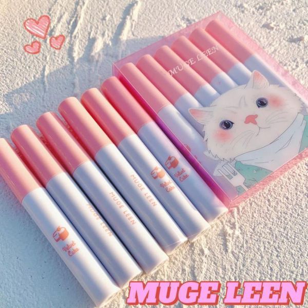 Brillant à lèvres 5/6 ensemble mat velours dodu maquillage imperméable antiadhésif tasse longue durée glaçure fille cadeau boîte cosmétiques TSLM1Lip Wish22