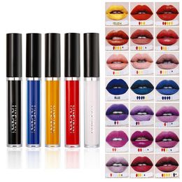 Brillant à lèvres 5 couleurs longue durée non collant liquide rouge à lèvres bricolage haute pigmenté velours maquillage donne un kit de tache de brillance