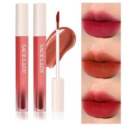 Lipgloss 5 kleuren naakt matte vloeistof lipstick make -up lange lipgloss roze tint batom sexy waterdichte blijvende schoonheid rood p3b3