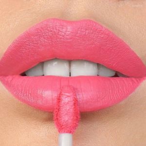 Brillant à lèvres 6 couleurs mat nu imperméable durable tasse non collante rouge marron glaçure velours teinte hydratante maquillage cosmétique