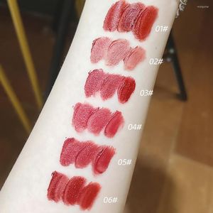 Lipgloss 6 kleuren naakt matte chocolade zijdeachtige modder lippenstift vrouwen roze tint fluweel rode glazuur cosmetica maquillaje make -up