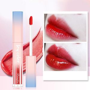 Lipgloss 6 kleuren naakt matte vloeistof lippenstift waterdichte langdurige hydraterende lipgloss make -up cosmetica wens22