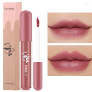 Lip Gloss 6 kleuren fluweel matte lippenstiften waterdicht niet vervagen langdurige anti-stick cup tint make-up pigment cosmetisch