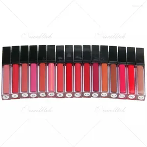 Brillant à lèvres beauté cosmétiques imperméable nu 17 couleurs velours rouge à lèvres liquide hydratant maquillage personnalisé rouge à lèvres