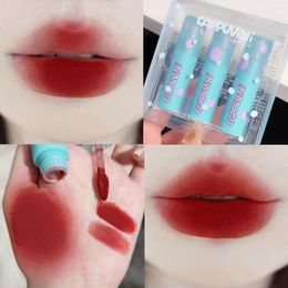 Brillo de labios tubo azul rojo oscuro mate barro humectante líquido lápiz labial resistente al agua tinte de terciopelo de larga duración cosmético coreano