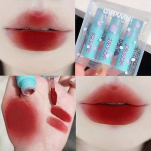 Lip Gloss Blue Tube Matte Velvet Mirror Mud Nationale lippenstift in bruine suikerleur voor studenten