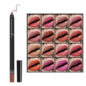 Crayon de maquillage imperméable de longue durée de revêtement de couleur de brillant à lèvres pour des filles de femmes