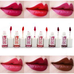 Lip gloss mode vrouwen waterdichte lipgloss mat mat 12 kleuren mini make -up vloeibare lippenstift batom liquido mate