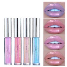 Lip Gloss Heallor Liquid Crystal Laser Holography Tattoo Lipstick Mermaid Pigment Glitter Lipgloss Plumper Make -up