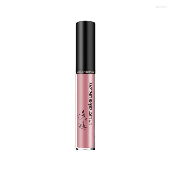 Brillo de labios Lápiz labial líquido Plumper Maquillaje Pigmentado Barra de larga duración Regalo impermeable para niñas y mujeres