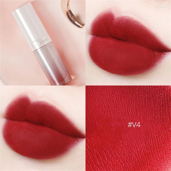 Lip Gloss Matte Finish Velvet Intense Color Liquid Lipstick Tint Maquiagem Maquiagem Cosmética Feminina TSLM1