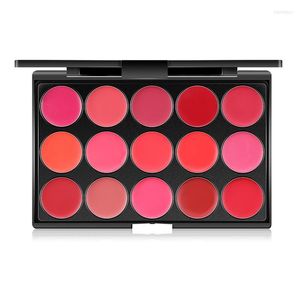 Lip Gloss Matte Lipstick Palet Pallet Langdurige zachte en gladde kleurmake -up cosmetica voor feestjes Casual bruiloft