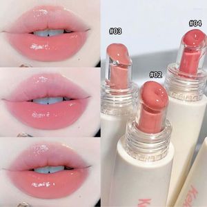 Brillant à lèvres miroir gelée 4 couleurs durable hydratant brillant glaçure sérum hydratant cristal liquide rouge à lèvres maquillage cosmétiques