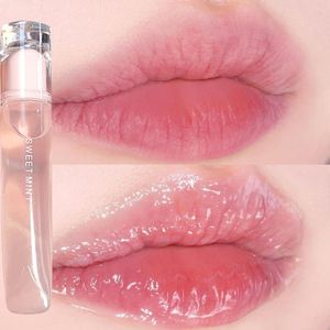 Généraire à lèvres hydratant la gelée repulpante durée de la nourriture transparente du miroir à lèvres liquide