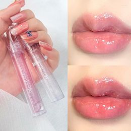 Lip Gloss Natural Plumper mollige hydraterende hydratatie verminderen Fine Lines Zorgdaling