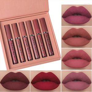 Brillo de labios Nude Romand Labbra Set Lipstick Brown Pack Pomadka Do Ust Matte A Prova Dagua Business Supplies
