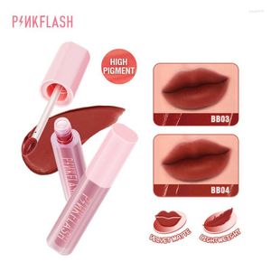 Lip Gloss PinkFlash Velvet Glaze lipstick Red Matte Mist Color Not Stick Cup Damessticks Vrouwelijke cosmetische accessoires