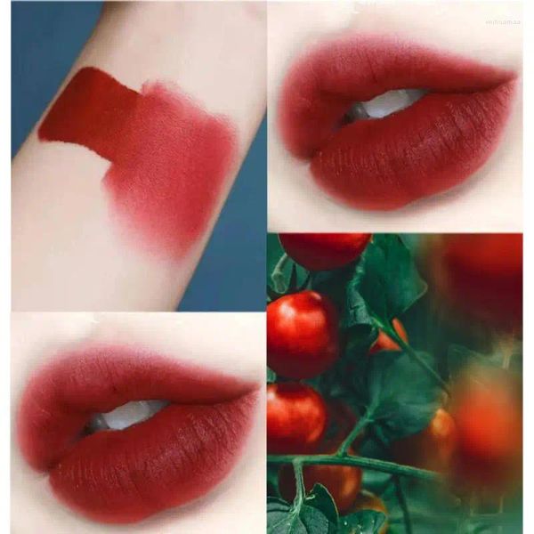 Brillo de labios Velvet Matte Glaze Set Lápiz labial líquido Resistente al agua No es fácil de desvanecer Labios naturales de larga duración