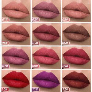 Rouge à lèvres mat velours imperméable, 12 couleurs, maquillage, glaçage léopard, cosmétiques hydratants, tasse antiadhésive