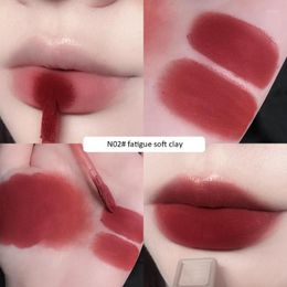 Lip Gloss Velvet Mat Waterdichte niet-markerende lippenstift blijvende modderstick vrouwen rode tint schoonheid cosmetische tslm1