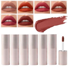 Lip Gloss Velvet Mist Face Mud Lipstick Waterdichte langdurige proof vlekken Multi -doeleinden voor make -up Max