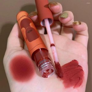Brillant à lèvres Velours Tubes Transparent Pigment Nude Mat Hydratant Liquide Rouge À Lèvres Longue Durée Teinte