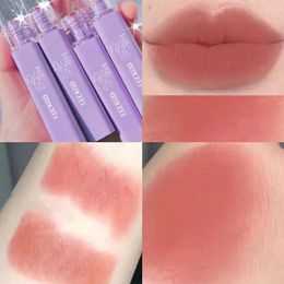 Lip Gloss Velvet natte make -up Matte modderglazuur Melk koffie Lipstick Langdurige hydraterende Koreaanse CosmeticSlip Wish22