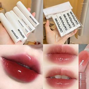 Brillo de labios con luz de agua, esmalte de espejo, cosmético, tinte ligero de larga duración, resistente al agua, 6 colores, lápiz labial líquido, maquillaje Wish22