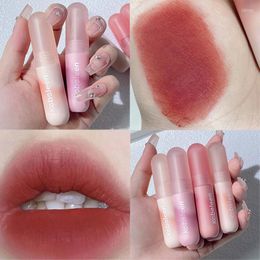 Lipgloss waterdichte 6 kleuren hydrateren blijvende fluwelen matte mousse modder sexy naakt rode vloeistof lippenstift cosmetica