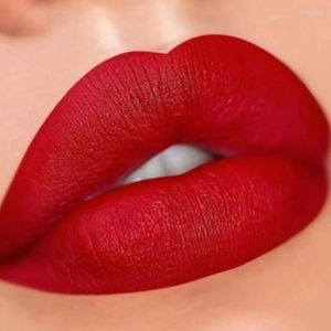 Lipgloss Waterproof Liquid Lipstick 12 kleuren Matte Nude Brown Pigment Dark Red Lasting Velvet Women Makeup Glaze