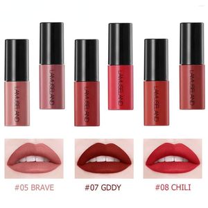Brillant à lèvres imperméable longue durée mat mini liquide rouge à lèvres facile à transporter 12 couleurs 3.5g maquillage des lèvres