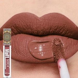 Lipgloss waterdichte matte naakt bruin pigment donkere rood langdurige fluwelen vloeibare lippenstift vrouwen make -up glazuur 1 pcc