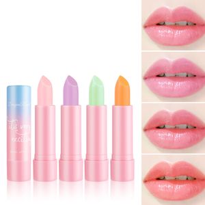 Lip Tint Stain Set Lipgloss Plumping Mini Liquid Lipstick Multi-Use Lip And Cheek Tint Long Lasting